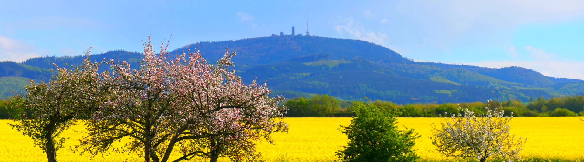 Inselsberg
